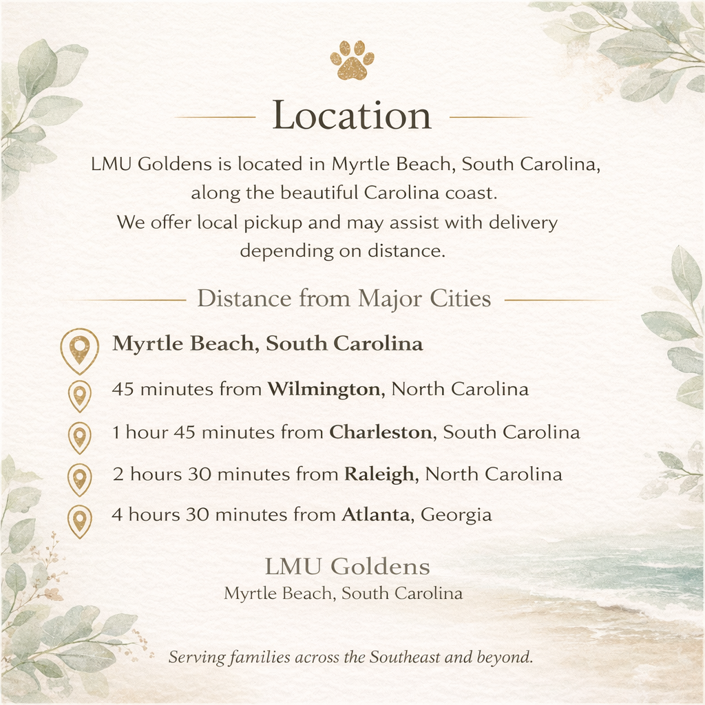 Contact LMU Goldens